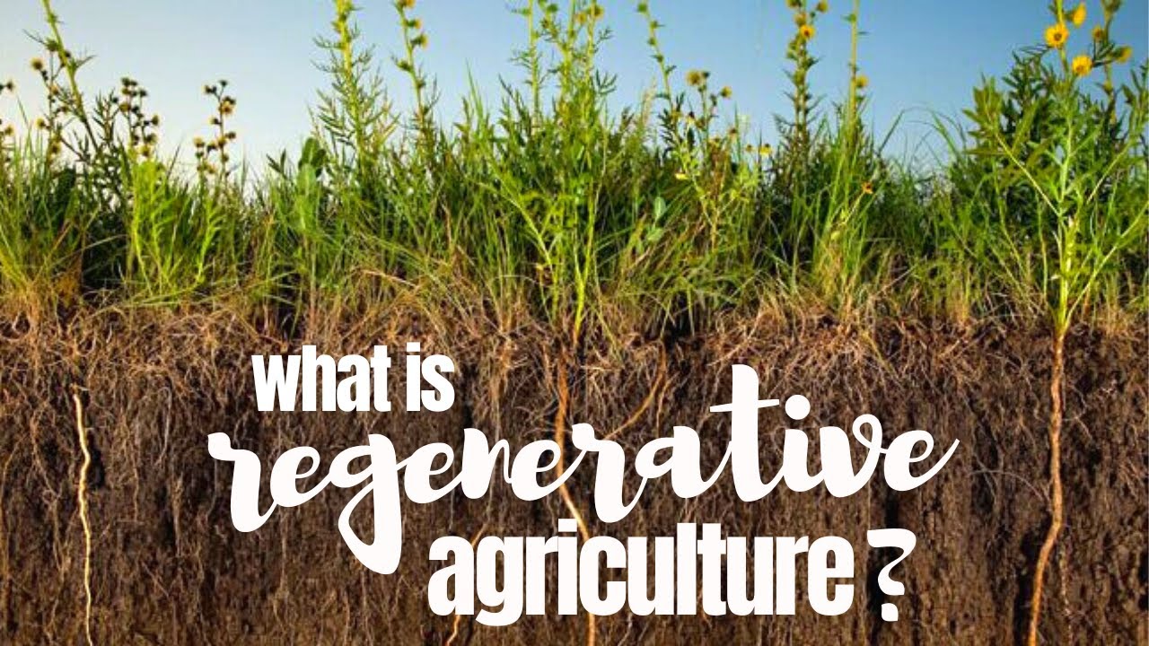 What Is Regenerative Agriculture & Can It Feed The World? - YouTube