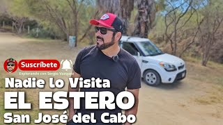 El Paraíso que Nadie Visita EL ESTERO de San José del Cabo