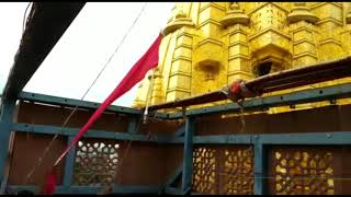 Jay ambe maa ( chhipa chakla sang ) ambe mataji ni dhaja 2019