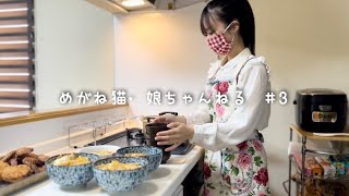 【Vlog】#3 春にお引っ越しします。その前に、お母さんに教わる絶品かつ丼とお味噌汁の味。｜I'm moving in April.【日常】