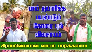 கோரை விவசாயம் | sleeping mat making process | river grass | korai pai mats | Uzhavar koottam