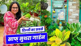 दिल्ली का सबसे साफ़ सुथरा गार्डन 😯 छत पे है फलों के पौधों की भरमार 😮 Fruit Plants Gardening Tips🪴