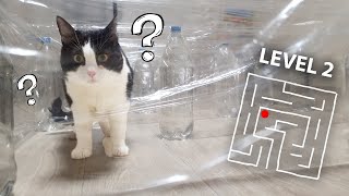 Invisible Maze or the Cat !! 3 Levels !!