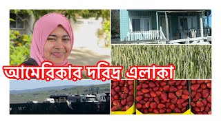 আমেরিকার দরিদ্র এলাকা ।আমেরিকার গ্রাম ।#ShakilaSathiUsa