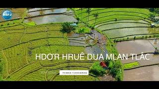 🔴MSFJ - Ede songs - Hdơr hruê 2 mlan 3 thun 2001 hla ayong nao |MSFJ|