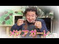 インスタントコーヒーを美味しく淹れる方法を教えます！