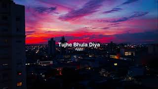 Tujhe Bhula Diya (Slowed + Reverb)
