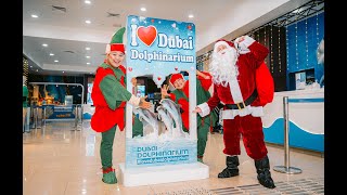 Meet Santa \u0026 the Dolphins | Festive Celebration at Dubai Dolphinarium