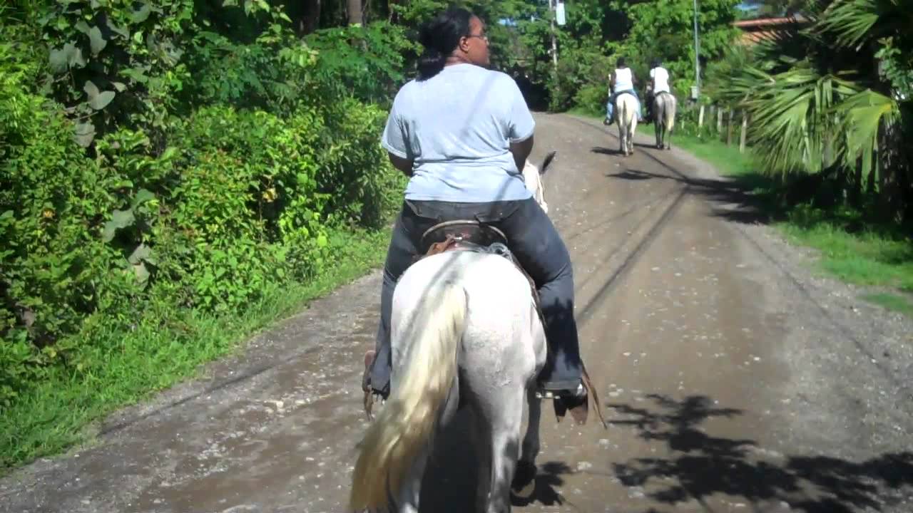 Horseback Riding Take 1 Youtube