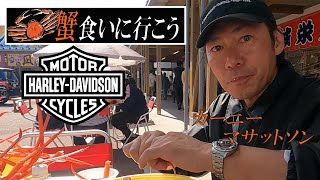 Harley Touring [11] [Bomb Eating] Seafood Heaven, Roadside Station Marine Dome Nou