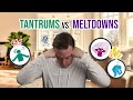 Mistaking Meltdowns for Tantrums? Here's the Difference
