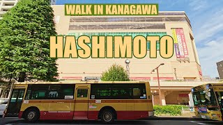 【 HASHIMOTO 橋本 】Walk in Kanagawa 神奈川