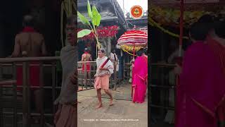 Sri Mookambika Temple Kollur - Daily Video