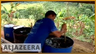 🇨🇴 Cocaine the only choice for some Colombia farmers | Al Jazeera English