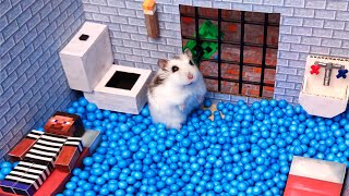 Hamster Escapes The Awesome Minecraft Maze With Obstacle Course