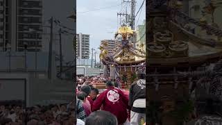 Rotating Mikoshi among Crowd #japan #tokyo #love #shrine #mikoshi #rotate #festival #carry #lift