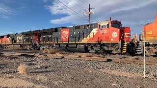 H-DENLAU with 2 Canadian National units drop off wood and wood chip cars at the Longmont rail yard