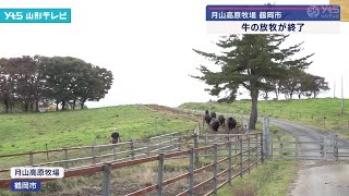 鶴岡市の牧場 牛の放牧が終了