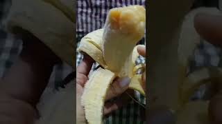 Aromatic Earthy Red Banana Aka Sevvazhai, Chenkadali, Chandrabale, Chakkarakeli #shorts #redbanana