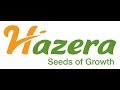 Hazera Official Training Video Tomato Brown Rugose Fruit Virus ToBRFV