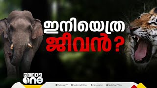 പഞ്ചാരക്കൊല്ലിയിൽ നാളെ മുതൽ 48 മണിക്കൂർ കർഫ്യൂ; വനംവകുപ്പ് ബീറ്റ് ഓഫീസർക്ക് കടുവയുടെ ആക്രമണം