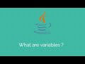 Java tutorials for beginners: Variables and basic data types