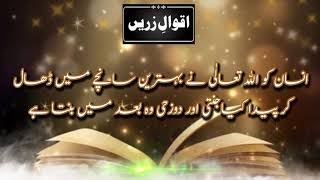 7 Best Aqwal e zareen in Urdu | Best Quotes | Golden words in urdu | Aqwal e zareen ISLAMIC VIDEOS