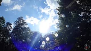 狐の嫁入り 天気雨　Fox Wedding Sun Shower