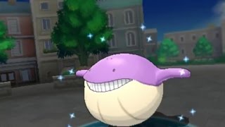 3DS【ポケモン ORAS】shiny Wailmer 色違い ホエルコ 色違 吼吼鯨