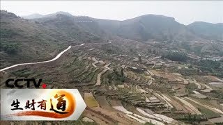 《生财有道》 20180606 果满园 花满山 老区振兴谋新篇 | CCTV财经