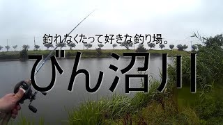 びん沼川で釣れないバス釣り