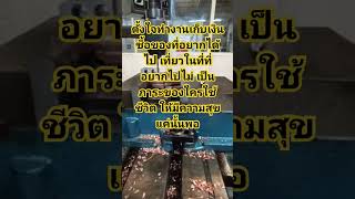 แค่ปล่อยให้ฉันฮีลใจของเธอได้ไหม #คลื่น #แพรชนา