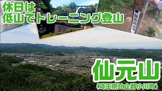 休日は低山でトレーニング登山　仙元山