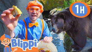 Blippi at the Zoo - Feeding the Animals | 1 HOUR BEST OF BLIPPI | Blippi Toys