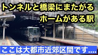 大都市近郊なのに秘境駅のような、トンネル内と橋梁にホームがある駅