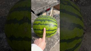 Experiment: Will a watermelon explode if it falls from a tall building?#shorts