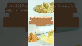 A Joint Effort: Boswellia, Curcumin, White Willow Bark, and Ginger for Osteoarthritis Relief