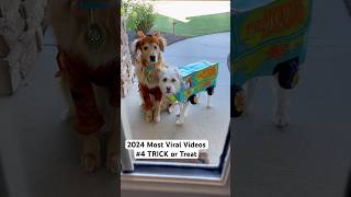 Our 4th most viral video of 2024!