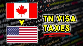 TN Visa Taxes for your first year | Don’t make mistakes!