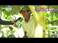 Produciendo más con el Proyecto de Desarrollo de Plátano  en Nicaragua