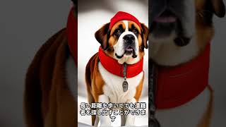 ほとんどの人が知らない補助犬として活躍する○○○○　#shorts