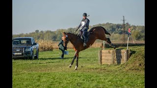 Cseppentő Réka-Arabeszk(akhal teke) A kategória 2.hely Országos Amatőr lovasok egyéni Bajnoksága!