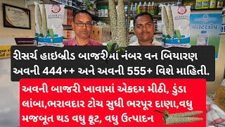 રીસર્ચ હાઇબ્રીડ બાજરીમાં નંબર વન બિયારણ અવની 444++ અને અવની 555+ વિશે માહિતી. એકદમ મીઠી, ડુંડા લાંબા