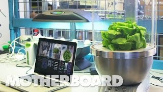 Robotic Gardeners & the Future of Food in Deep Space