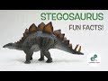 STEGOSAURUS FACTS | Fun & Educational | Dinosaurs For Kids | Best Dinosaur Facts