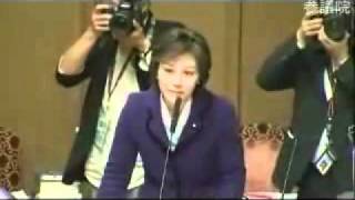 平成23年11月29日参議院財政金融委員会 佐藤ゆかり議員（自民）.part3