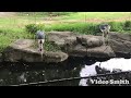 天王寺動物園ハゲコウ２