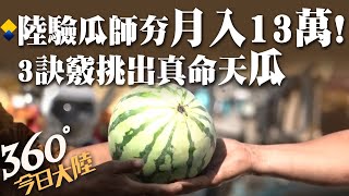 這樣挑西瓜保證甜!陸「驗瓜師」月入13萬起跳 彈指神功3秒挑出真命天「瓜」｜【360°今日大陸】 20220723  @全球大視野