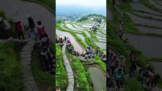 Yunhe Rice terrace Field Zhejiang China. #landscapebeauty #stunninglandscapes #scenery #scenicbeauty