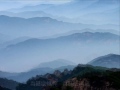 春風春雨 秦晉·威莉